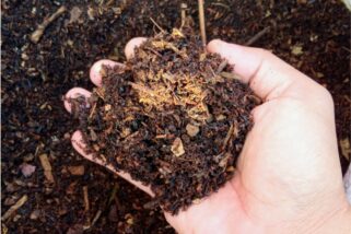 Cap sur le compostage, mardi 07 avril 2026