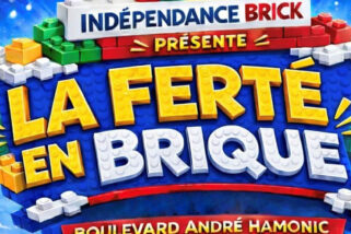 Exposition LEGO 7 & 8 novembre salle Guy Rossolini