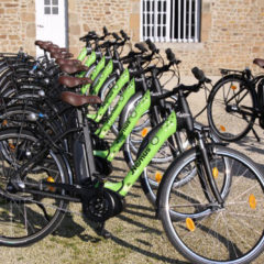 Location de vélos électriques et bornes de recharges