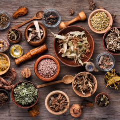 De novembre à Février : Ateliers d’Herboristerie