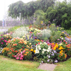 Le Concours des Maisons Fleuries est maintenu