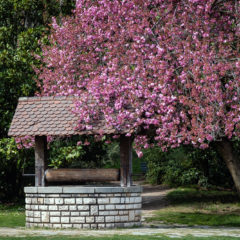 Les puits et les forages