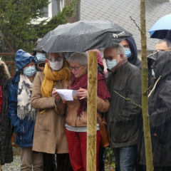 Un arbre planté en hommage à Mélanie Lemée