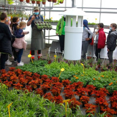 Les CE2 découvrent les Serres Municipales