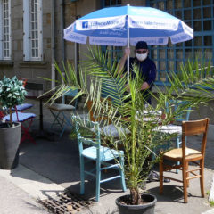 Les Terrasses Fertoise