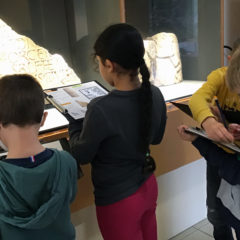 Découverte de Jublains