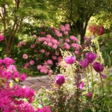 Neurodon – Des jardins à visiter