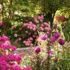Neurodon – Des jardins à visiter