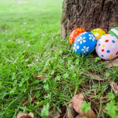 Activités pendant les vacances de Pâques