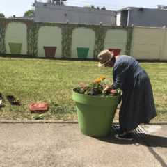 Orne Habitat organise un concours photos jusqu&rsquo;au 19 septembre 2022