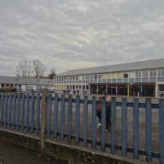 Démonstration taille de pommiers