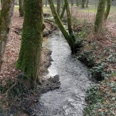 Aire terrestre éducative : un projet pour l&rsquo;avenir
