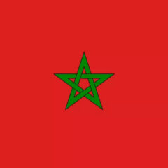 Envoi de la collecte solidaire pour le Maroc