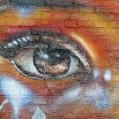 Retour en images sur les fresques du Festival Street Art FMR 2025