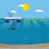 Lutte contre les cyanobactéries avec un dispositif ultrasons innovant