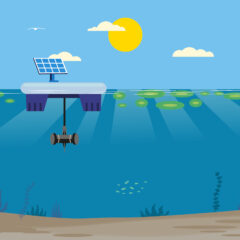 Lutte contre les cyanobactéries avec un dispositif ultrasons innovant