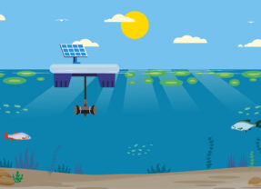 Lutte contre les cyanobactéries avec un dispositif ultrasons innovant