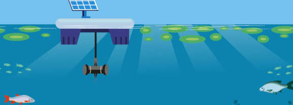 Lutte contre les cyanobactéries avec un dispositif ultrasons innovant